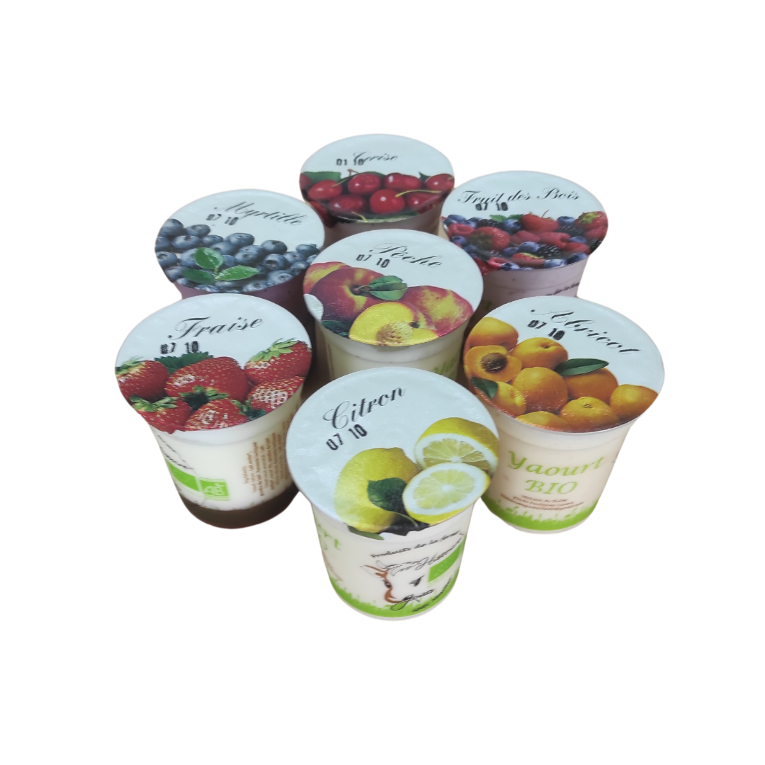 YAOURTS SUR LIT DE FRUITS JAUNES lot de 2