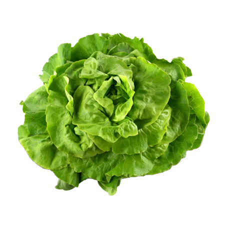 Salade - pièce