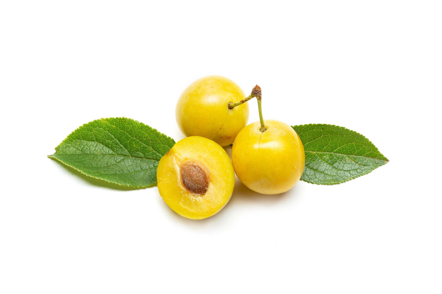 Prune - 500g