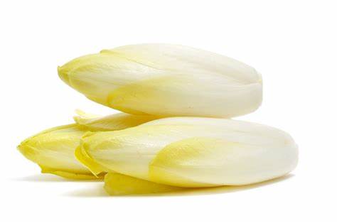 ENDIVE