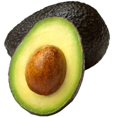 AVOCAT