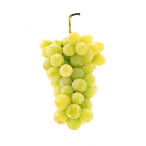 RAISIN BLANC - 500g